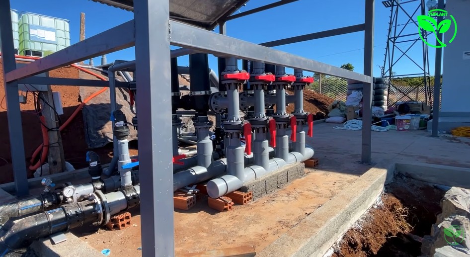 he thong loc trung tam vuon ca phe